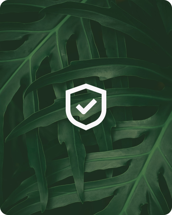 OrangIT_website_Realiability