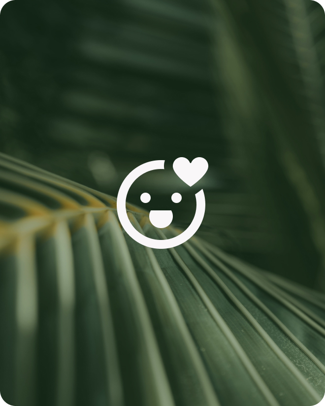 OrangIT_website_Simplicity