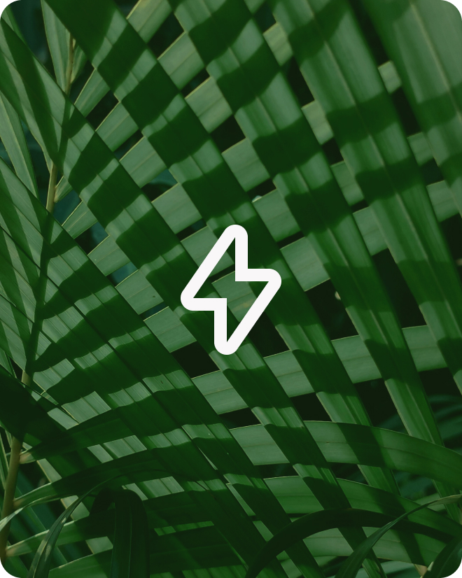 OrangIT_website_Speed