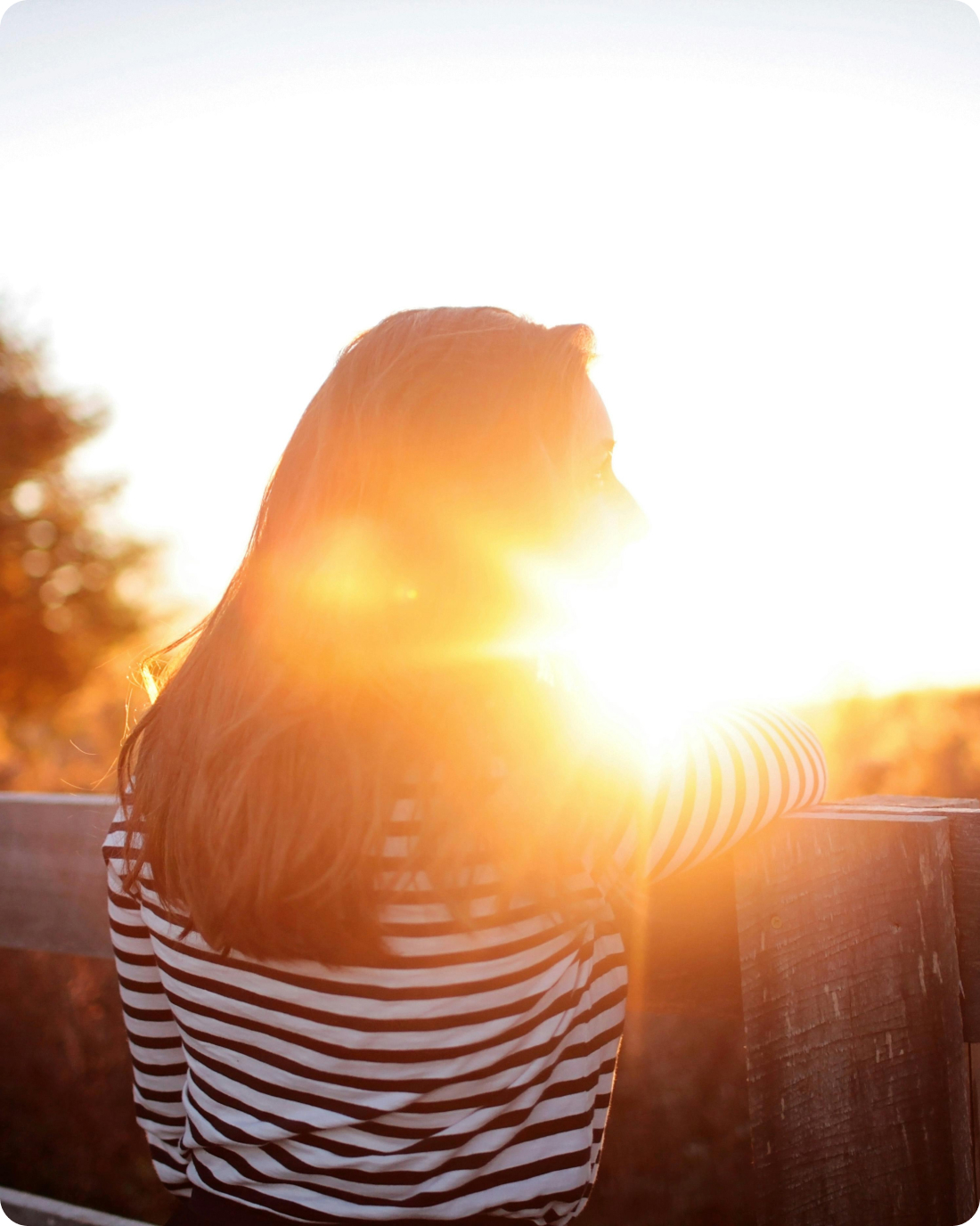 pexels-leah-newhouse-50725-325520-1-1